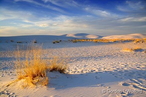 White Sands_32409.jpg - Photographed at the White Sands National Monument near Alamogordo, New Mexico, USA.